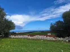 #24452 Terreno parzialmente edificabile vista mare con uliveto a Polignano a Mare
