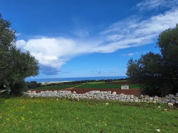 #24452 Terreno parzialmente edificabile vista mare con uliveto a Polignano a Mare