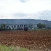 #4798 Terreno parzialmente edificabile di 48.245 mq