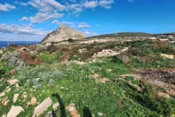 #22824 Terreno per attività estrattive 16880 mq