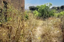 #22823 Terreno per attività estrattive 16060 mq