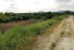 #22912 Terreno produttivo con vasche di lavaggio