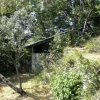 Terreno Recco (GE) Collodari
