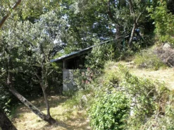 Terreno Recco (GE) Collodari