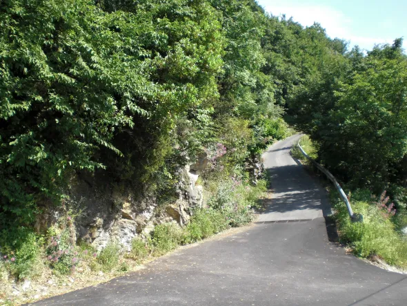 Terreno Recco (GE) Collodari