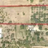 TERRENO ULIVETO AGRICOLO-FONTE NUOVA (RM)