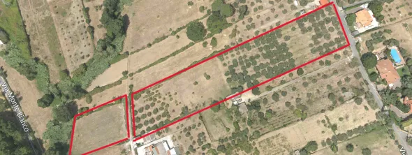 TERRENO ULIVETO AGRICOLO-FONTE NUOVA (RM)