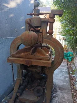 Torchio tipografia