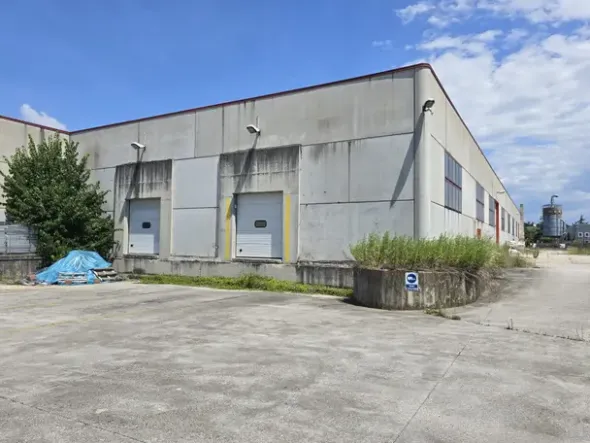 #2639889 Tribunale di Udine - Capannone industriale con beni mobili