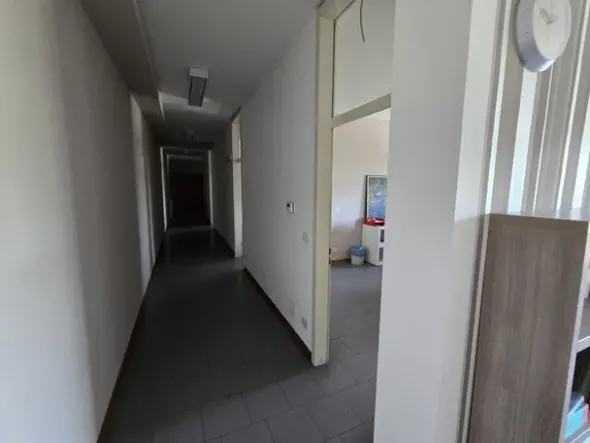 #2639889 Tribunale di Udine - Capannone industriale con beni mobili