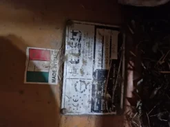 TRINCIATUTTO