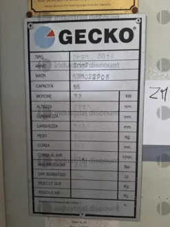 2#9884 Troncatrice Gecko