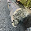 Tubi in acciaio al carbonio