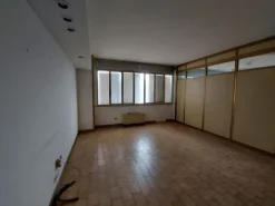 #14611 Ufficio con cantina e garage doppio