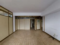 #14611 Ufficio con cantina e garage doppio