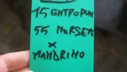 250#5049 Utensili e strumenti di misura
