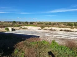 #24436 Vendesi Terreno e Capannoni a Taranto