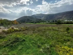 #25201 Vendita terreno commerciale