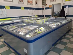 VENDO BANCHI FRIGO PER ALIMENTI SURGELATI