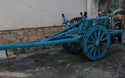 Vendo carro buoi
