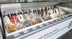 VETRINA 24 GUSTI (12+12)